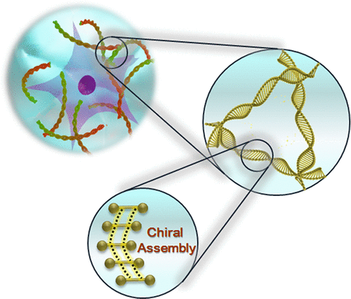 Supramolecular Hydrogels with Tunable Chirality for Promising Biomedical Applications